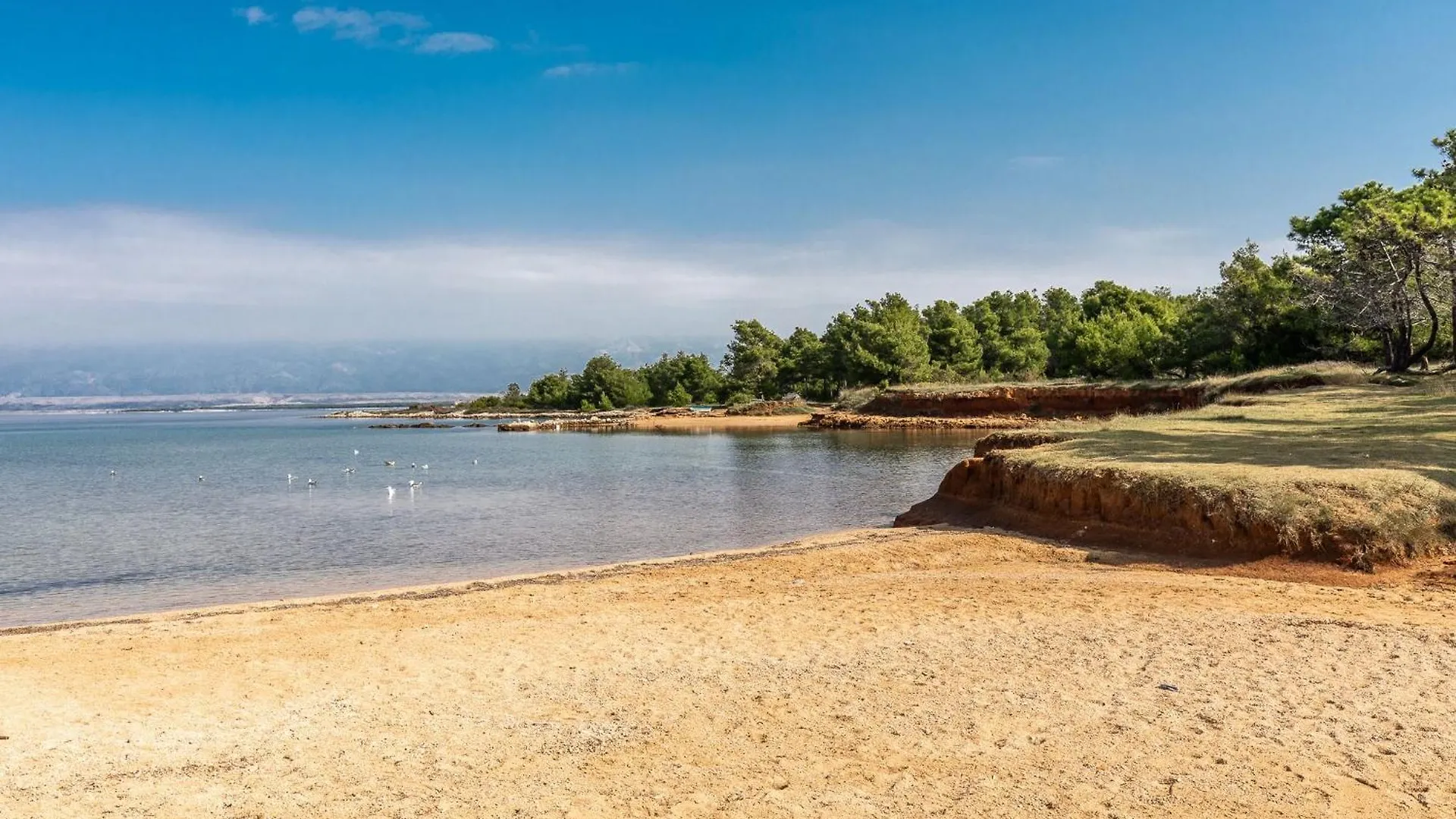 Holiday home Ana Maria Villa Vir